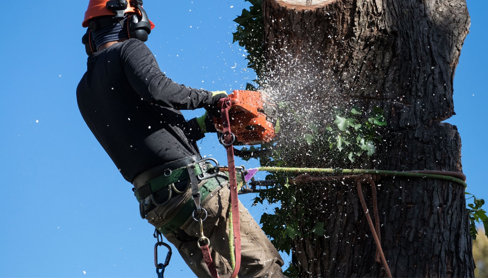 A tree trimming expert chopping a tree in Dallas, GA.